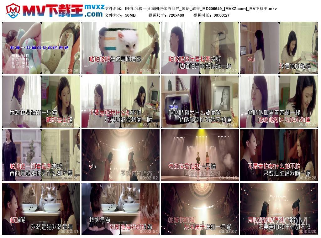 阿悄-我像一只猫闯进你的世界_国语_流行_MD205649